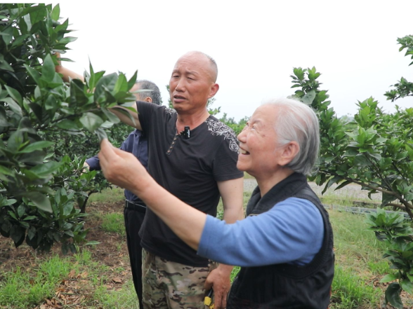 【视频】常宁市老科协：以“银智”赋能发展活力 用“银龄”托起敬老温情