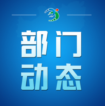 胜桥镇：“拆窗破网”除隐患 畅通通道护平安