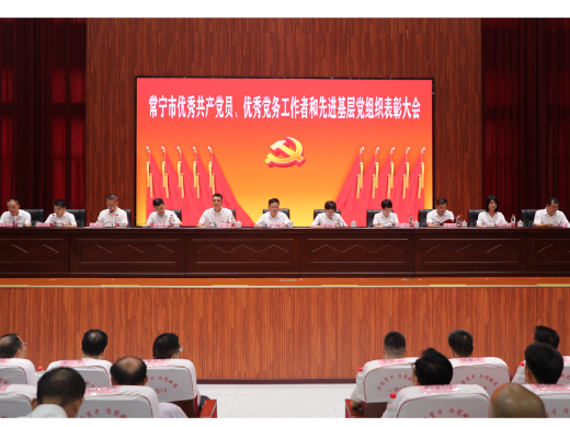 【视频】常宁市“两优一先”表彰大会举行