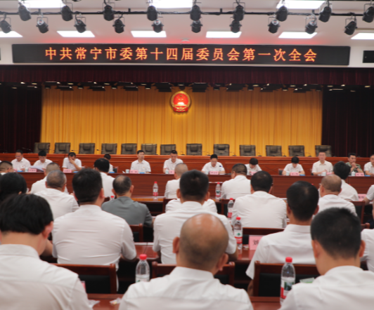 【视频】中国共产党常宁市委第十四届委员会第一次全体会议召开 罗卫华当选市委书记 邓艳红 周俊当选市委副书记