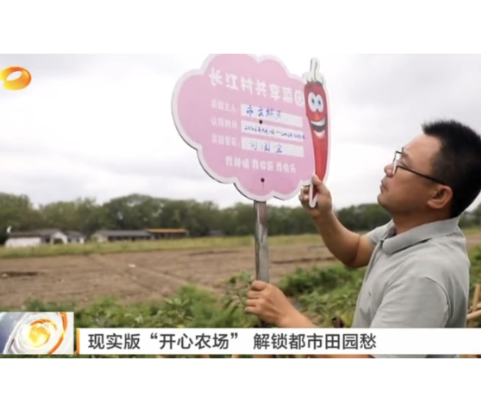 湖南卫视《午间新闻》报道常宁新闻《三角塘镇长江村: 80亩共享菜园“换装”忙 》