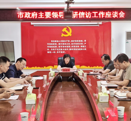 邓艳红到新河镇调研信访工作