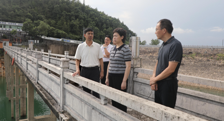 邓艳红调研农村安全饮水保障问题专项整治和抗旱保水工作