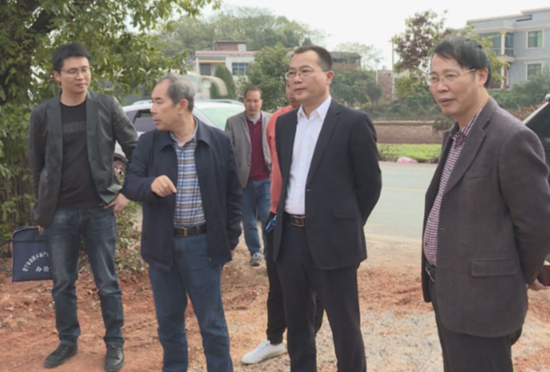 常宁开展农村乱占耕地建房、新增违法用地督查