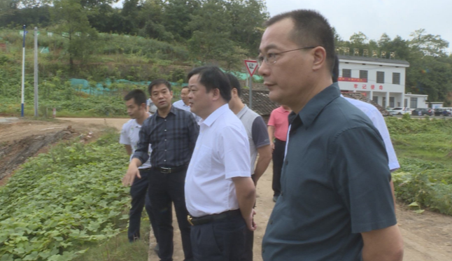 吴乐胜：以“战时”状态抓落实 确保水口山铅锌煤矿区山水林田湖草生态保护修复项目11月30日前完工