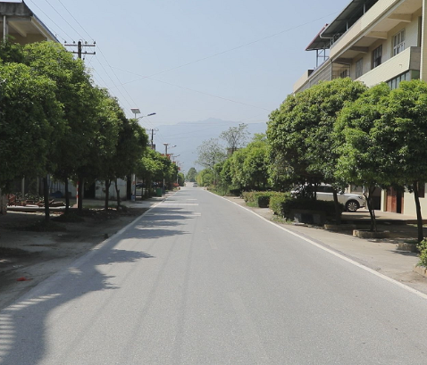 【视频】标准化 新变化丨西岭镇平安村：美了环境 富了村民