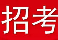 113名！常宁公务员招录人数达近年之最 6月28日开始报名