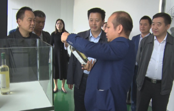 花垣县政协一行来我市考察油茶产业发展