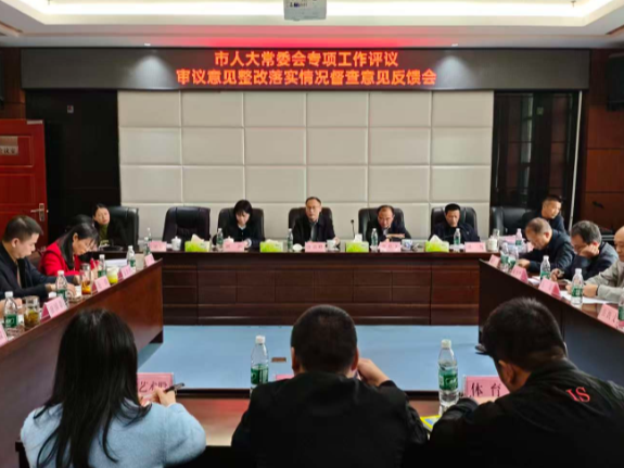 【视频】市人大常委会督办文旅广体局整改工作 18项问题已落实11项