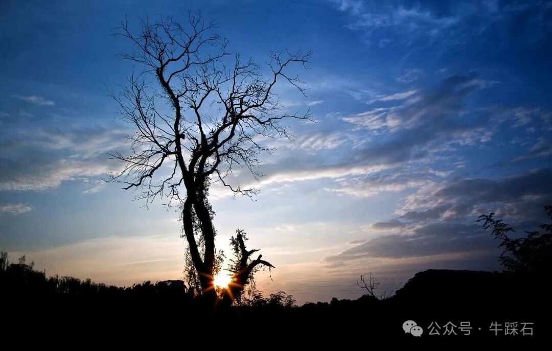 荆竹山1.jpg 荆竹山1.jpg