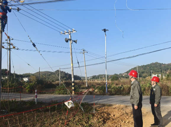 胜桥镇:农网改造助力乡村振兴“满格电力”