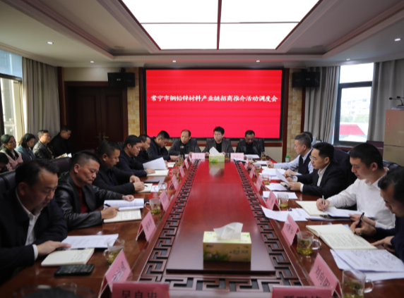 【视频】罗卫华调研铜铅锌材料产业链招商推介会筹备、企业原地倍增、产业招工等工作