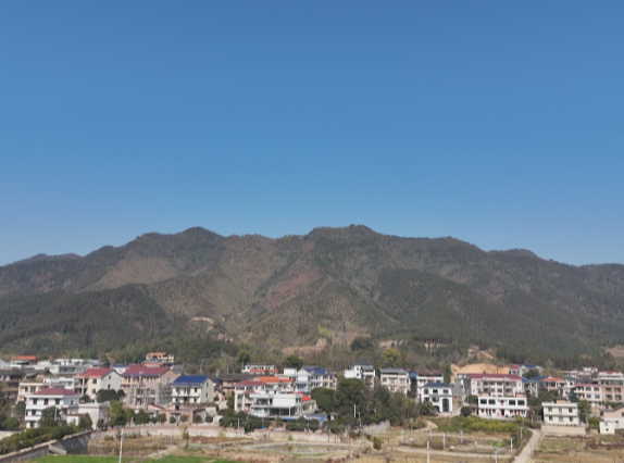 强执行 开新局 （14）洋泉镇新瓦村： 穷山窝变身“聚宝盆”