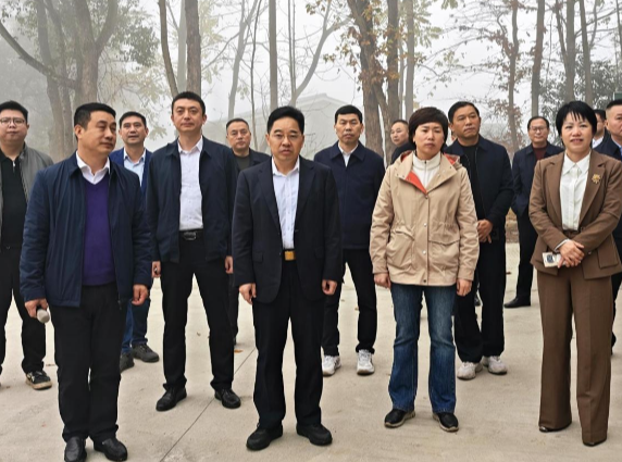 比学促发展 聚力谋新篇  常宁强力推进乡镇（街道）项目建设(一）