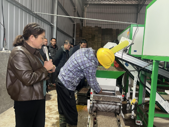 常宁：标准化育秧技术送农户身边 提升机械化水平