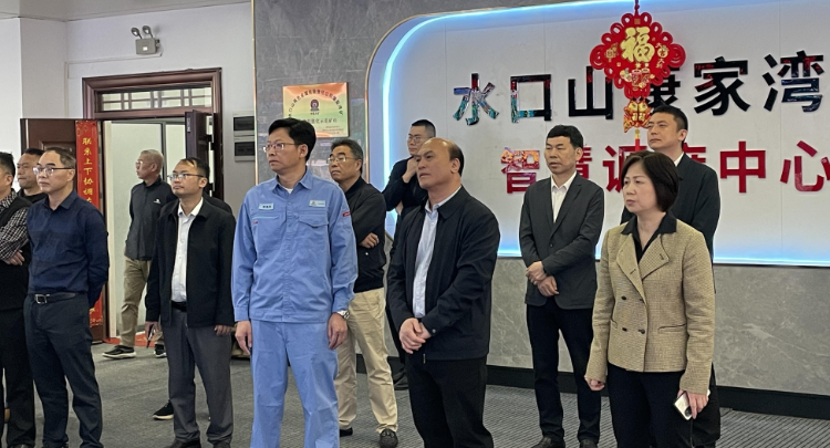 【视频】河池市政协来常考察关键金属开发、产业集群培育、园区创建和高质量发展工作