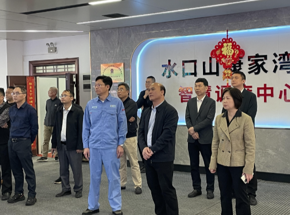 【视频】河池市政协来常考察关键金属开发、产业集群培育、园区创建和高质量发展工作