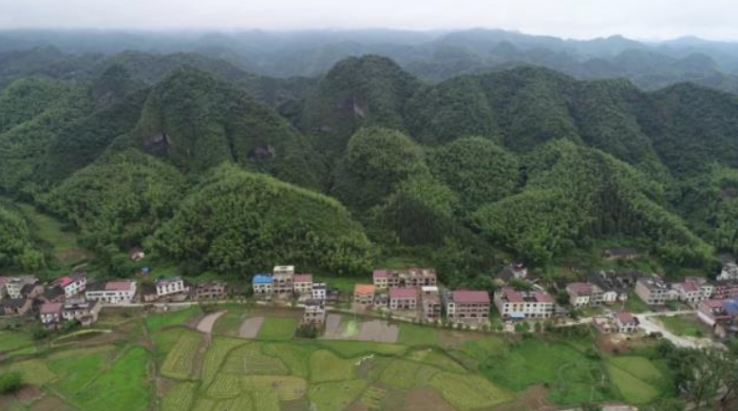 脱贫攻坚群英谱·脱贫攻坚干部考察调研丨扎根大山“拔穷根”