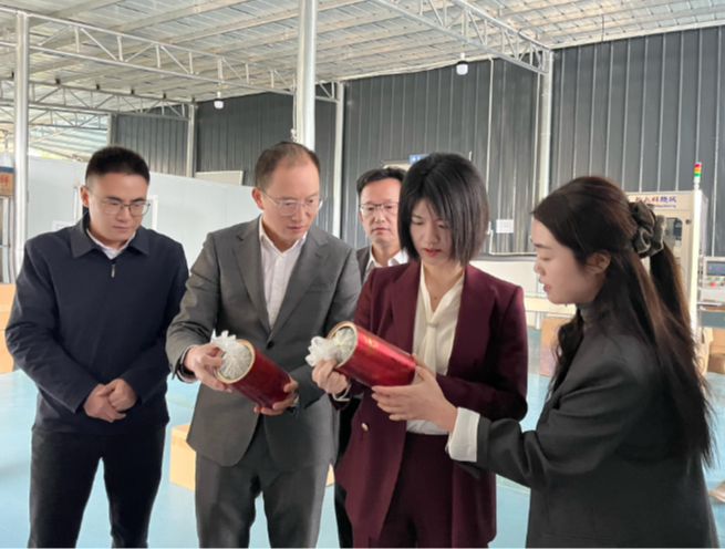 市领导带队到砂坝镇调研对口帮扶工作