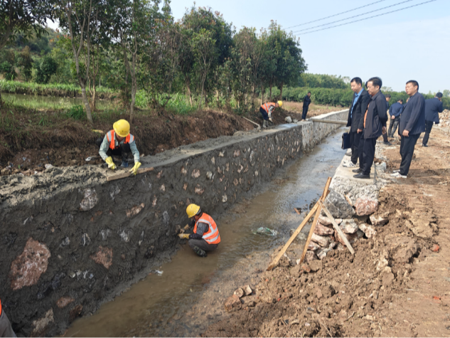 曲潭街道开展“沉浸式”监督 群腐整治直击民生第一线
