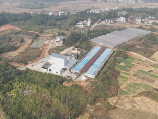 常宁板桥镇合塘村:水稻精深加工“有钱途”