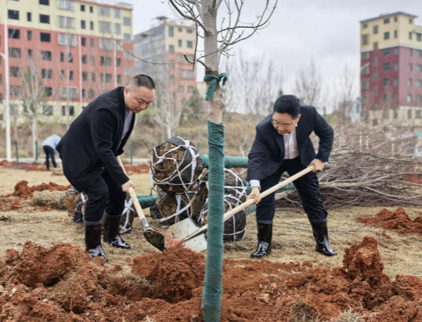 义务植树 共建山水田园新常宁 罗卫华 邓艳红参加