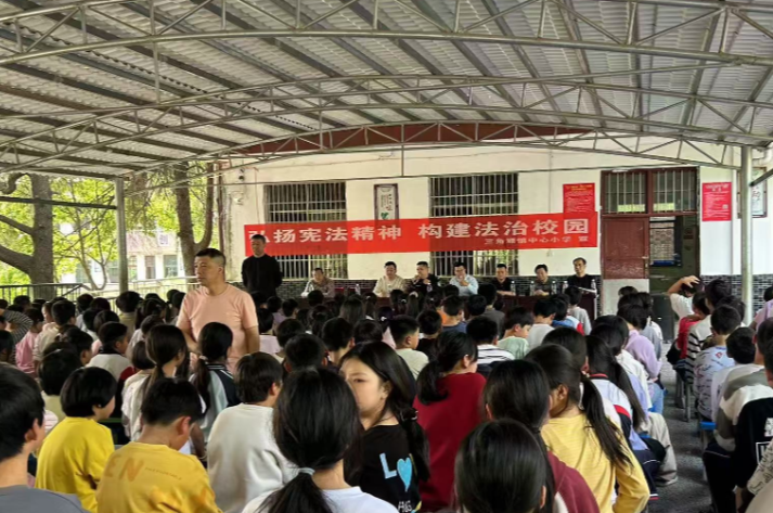 与法同行 护航成长 ——三角塘镇中心小学开展法制教育宣传活动