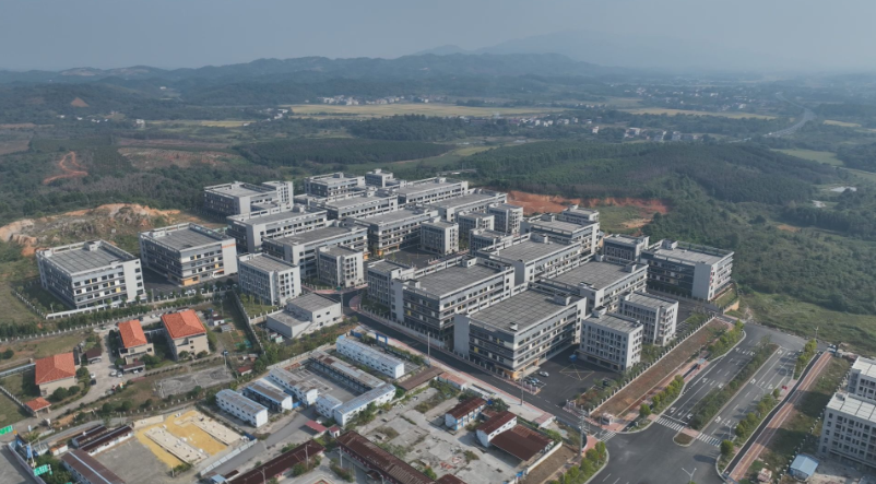 【视频】常宁：纺织服装产业链迈向高端化 智能化 绿色化