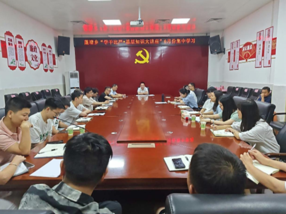 蓬塘乡：“学干比严”七点读书班 学用结合锻造硬本领