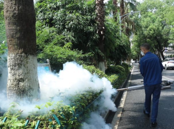 【视频】常宁：全面开展蚊虫消杀 织密蚊媒传染病防控网