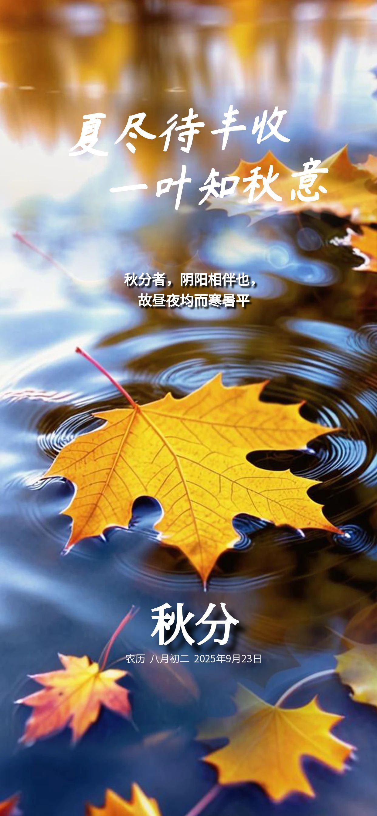 图怪兽_二十四节气秋分摄影质感节气海报.jpg