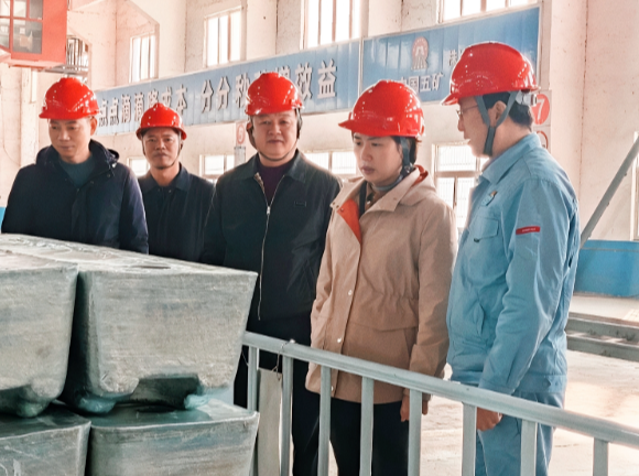 邓艳红调研企业安全生产及乡镇重点工作