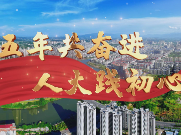 【视频】五年共奋进 人大践初心丨链上履职 赋能园区