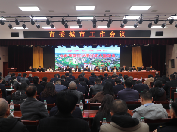 【视频】加快全面建设现代化山水田园新常宁 市委城市工作会议召开 