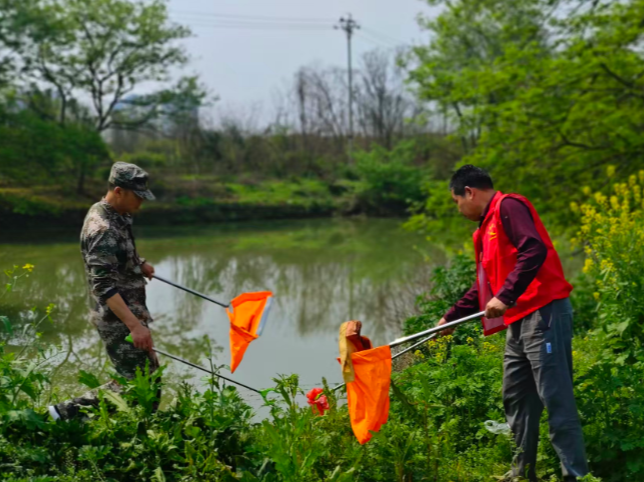 曲潭街道：以“世界水日”为契机  共绘水生态保护新画卷