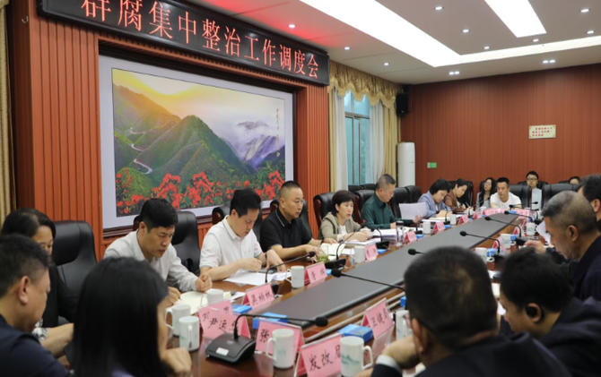 全市群众身边不正之风和腐败问题集中整治工作调度会召开