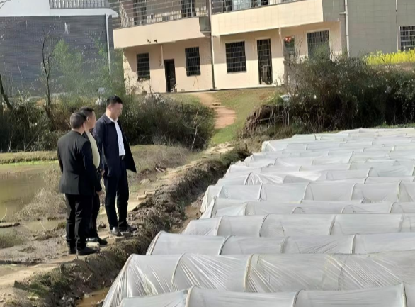 常宁市荫田镇：沃野秧苗绿 春耕正当时