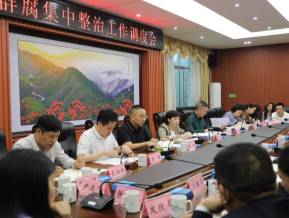 全市群众身边不正之风和腐败问题集中整治工作调度会召开