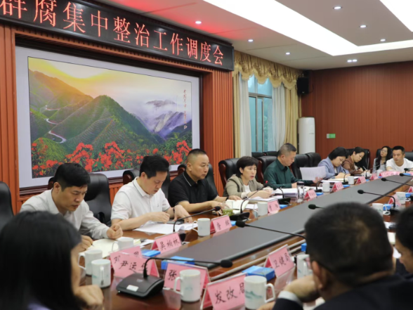 全市群众身边不正之风和腐败问题集中整治工作调度会召开