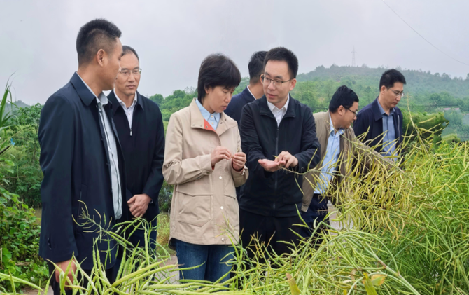 邓艳红调研秸秆综合利用、农村“三资”管理、防汛备汛工作