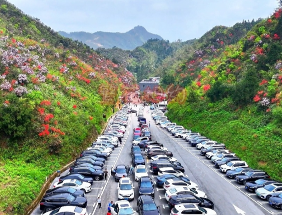 塔山瑶族乡：守护杜鹃花海 筑牢服务屏障