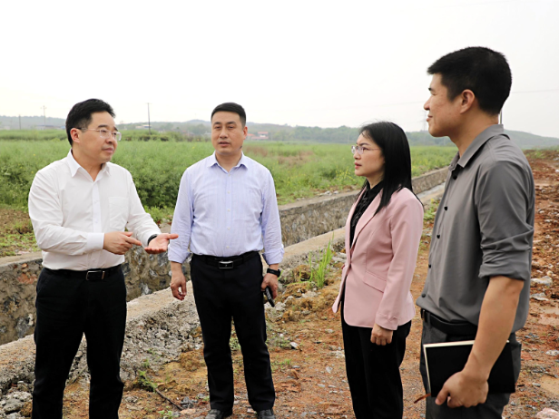 【视频】罗卫华督导群众身边不正之风和腐败问题集中整治相关工作