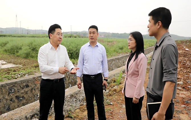 【视频】罗卫华督导群众身边不正之风和腐败问题集中整治相关工作