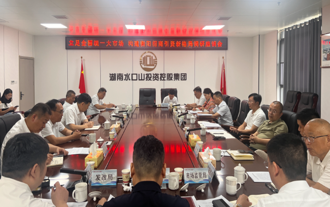 【视频】衡阳市政协来常宁开展招商引资工作专题调研