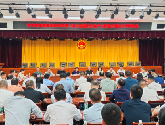 常宁市应安委会2026年第二次全会暨安全生产大排查大整治工作推进会议召开
