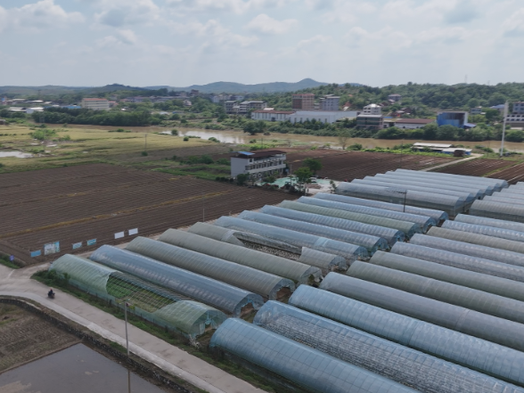 【视频】最是乡音解乡愁（306） 农业银行常宁支行：乡音润乡土 金融助振兴 