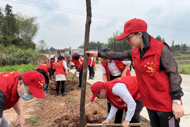 【视频】标准化 新变化丨义务植树 绿化美丽家园