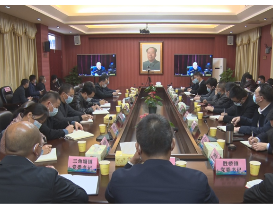 【视频】常宁组织收听收看衡阳市全面推行林长制工作动员部署电视电话会议