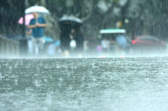 【防汛减灾】汛期+强降雨，这份出行安全指南一定要备着！