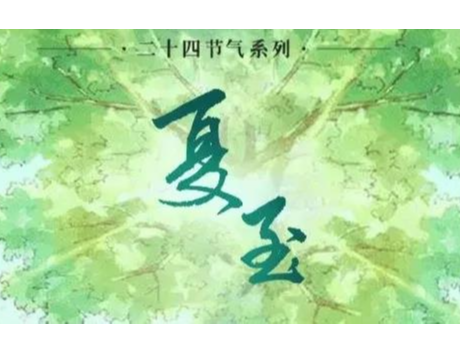 今日夏至丨时夏方长，盛暑将至